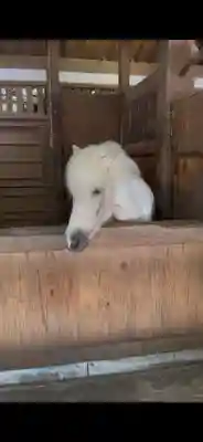 金刀比羅宮(香川県)