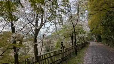 観音寺（山崎聖天）(京都府)
