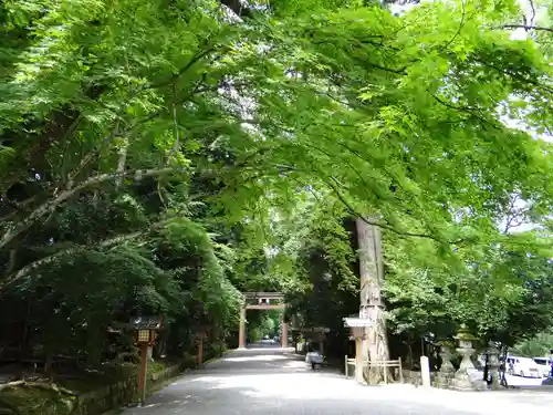 石上神宮(奈良県)