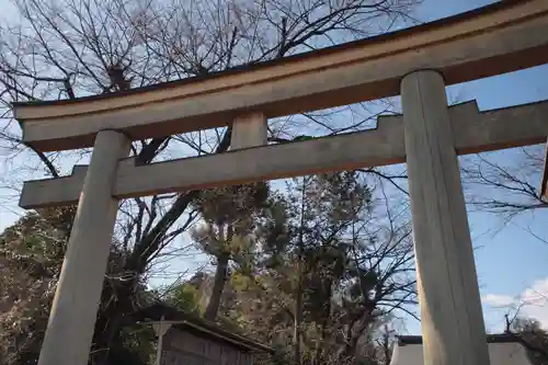 須賀神社の鳥居