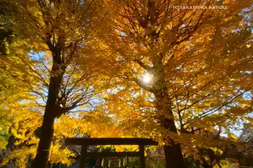 葛原岡神社(神奈川県)
