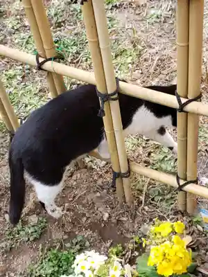 白金氷川神社(東京都)