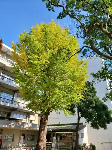 安積國造神社の自然