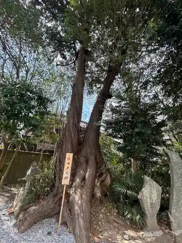 星宮神社(栃木県)
