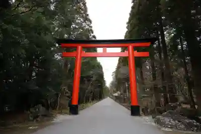 霧島神宮(鹿児島県)
