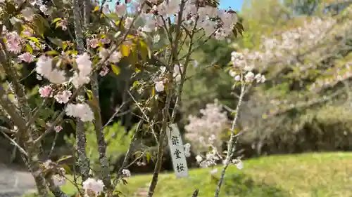 素戔嗚神社(岡山県)