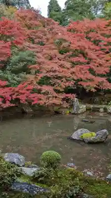 蓮華寺（洛北蓮華寺）(京都府)