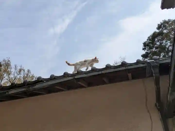 柏諏訪神社(千葉県)