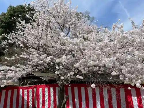 醍醐寺(京都府)
