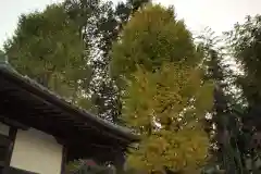 法恩寺の自然