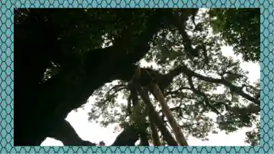 九重神社(埼玉県)