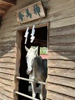 小室浅間神社(山梨県)