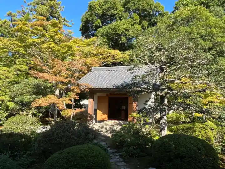 隨心院(随心院)(京都府)