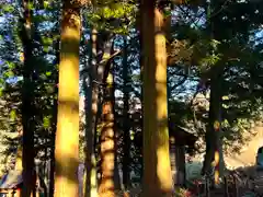 山家神社の自然