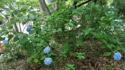 出雲大神宮(京都府)