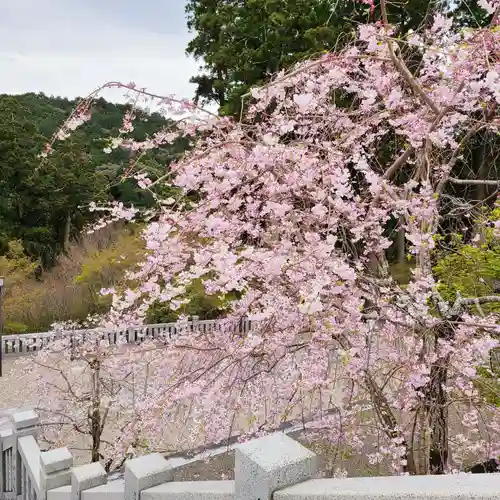 尊永寺(静岡県)