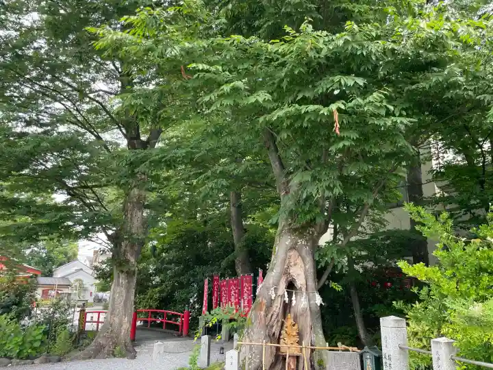 秩父今宮神社(埼玉県)