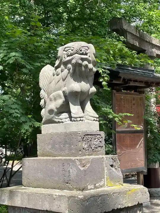 旭川神社の狛犬