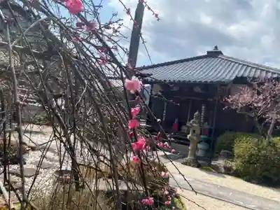 七寳寺(兵庫県)