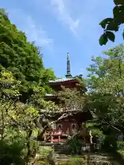 三室戸寺の塔