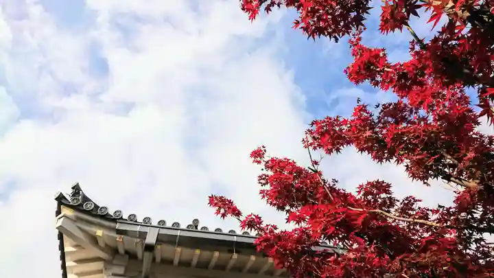 寿量山 速成寺のその他建物