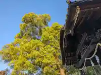 三津厳島神社(愛媛県)