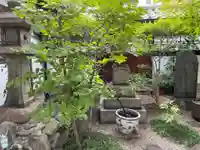 粟嶋堂宗徳寺(京都府)