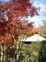 浄光明寺の自然