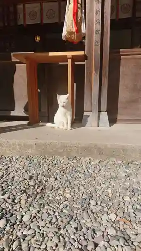 伊佐須美神社(福島県)