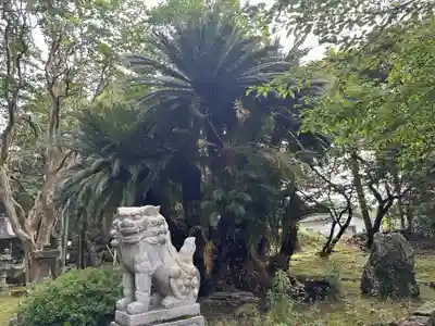 たこ神社(島根県)