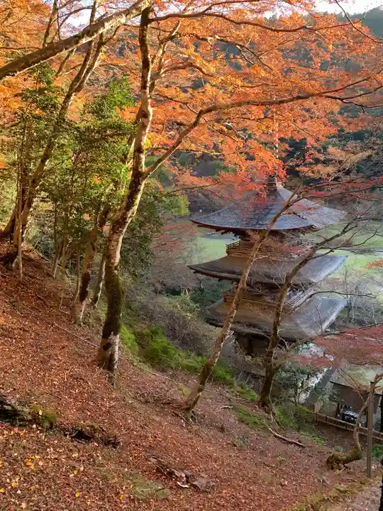 金剛院(京都府)