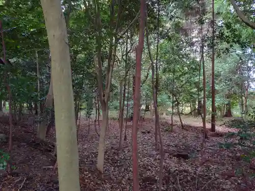 立志神社の周辺