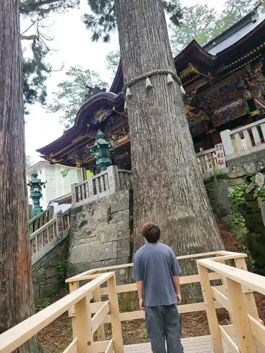 三峯神社の{uncategorized: "未分類", other: "その他", undefined: "問題あり", building: "その他建物", grave: "お墓", sacred_gate: "鳥居", guardian: "狛犬", statue: "像", buddha: "仏像", history: "歴史", nature: "自然", garden: "庭園", animal: "動物", pagoda: "塔", temizu: "手水舎", mountain_gate: "山門・神門", sanctuary: "本殿・本堂", subordinate: "末社・摂社", art: "芸術", scenery: "景色", jizo: "地蔵", ema: "絵馬", goshuin: "御朱印", omikuji: "おみくじ", items: "授与品その他", amulet: "お守り", goshuincho: "御朱印帳", eats: "食事", festival: "お祭り", votive_dance: "神楽", shichigosan: "七五三参", wedding: "結婚式", experience: "体験その他", initially: "初詣", around: "周辺", anti_infection: "感染症対策"}