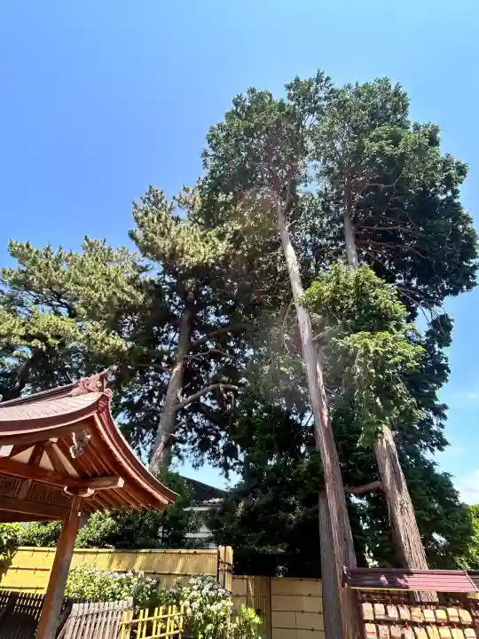 中野沼袋氷川神社(東京都)