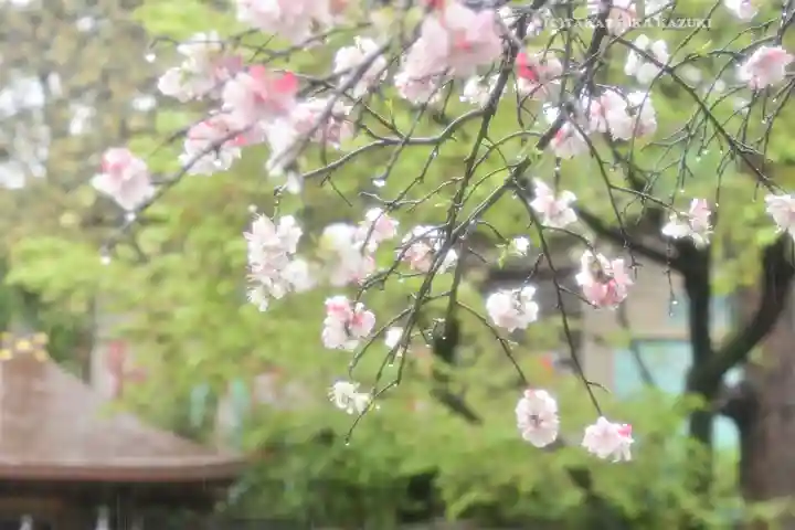 五條天神社の自然