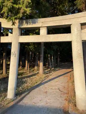 大年神社(兵庫県)