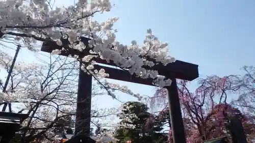 開成山大神宮の鳥居