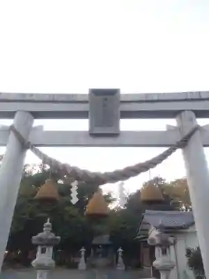 伊弉諾神社(埼玉県)