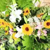 彌彦神社 (伊夜日子神社)(北海道)