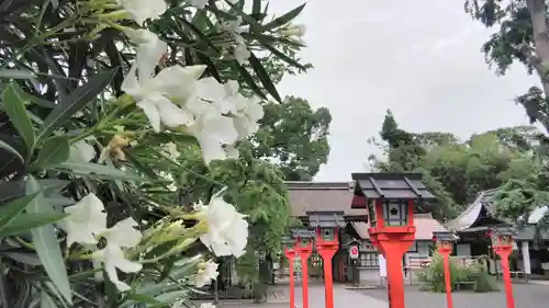 平野神社のその他建物