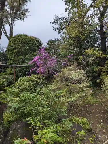 東長谷寺　薬王院(東京都)
