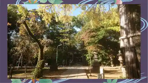 赤坂氷川神社(東京都)