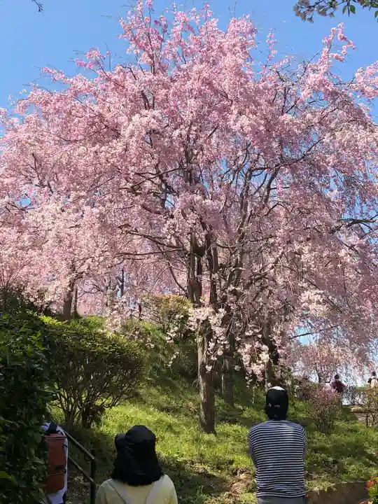 大神神社(奈良県)