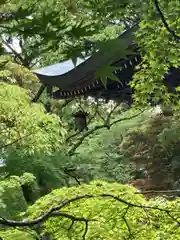 八葉寺の庭園