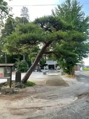 近津神社(栃木県)