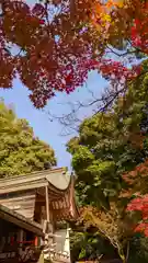 竹中稲荷神社（吉田神社末社）(京都府)