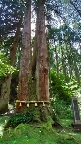 御岩神社の自然