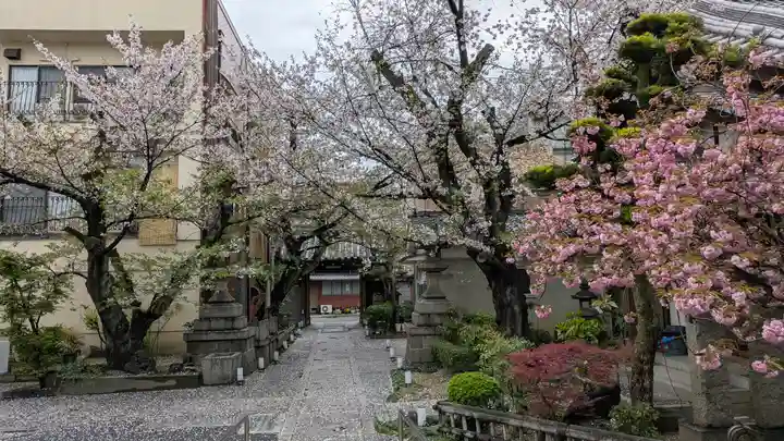 墨染寺(桜寺)(京都府)