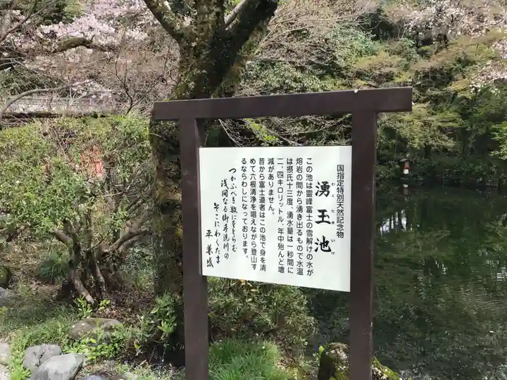 富士山本宮浅間大社(静岡県)