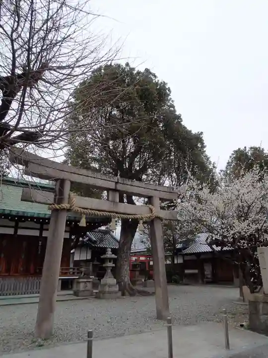 赤留比売命神社(杭全神社飛地境内社)の鳥居